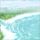 泡沫之夏